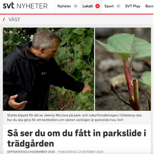 SVT Nyheter Väst